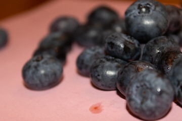 Blueberries on a colored background