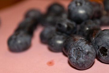 Blueberries on a colored background