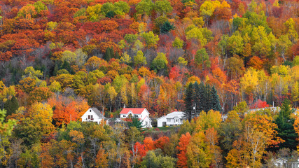 Fall foliage in Quebec mountains along scenic highway 155 in Quebec, Canada
