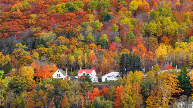 Fall foliage in Quebec mountains along scenic highway 155 in Quebec, Canada
