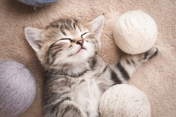 Sleeping tabby kitten with balls of wool