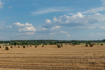 Stubble field with hay bales under a beautiful summer sky 