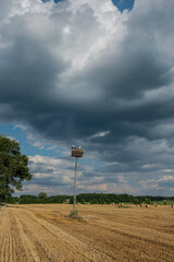 Stubble field with hay bales under a beautiful summer sky 