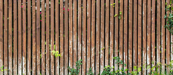 texture of old wood plank wall.  background of wooden surface