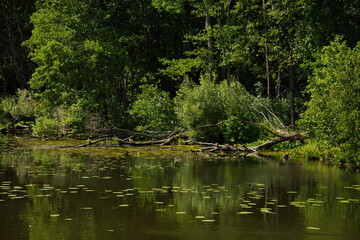 Vvedenskoe lake in the vicinity of the town of Pokrov, Vladimir region, Russia.