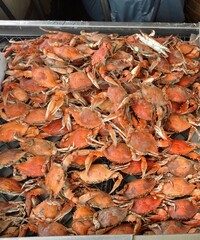 Crabs at the Seafood Market