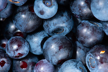 Closeup photo of ripe blueberries