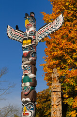 Kakasolas and Beaver Crest totem poles in Stanley Park Vancouver with raven on blue sky and Fall leaves