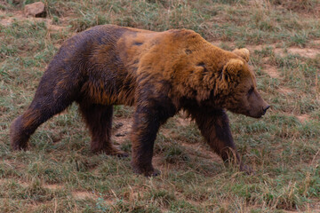 Cabarceno Natural Park - Cabárceno, la envidia cántabra. Destino idóneo para los amantes de los animales, parada obligatoria para familias, parejas y demás que deseen contemplar esta belleza natural.