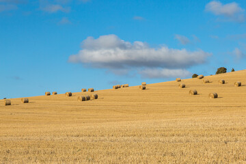 Fototapeta premium Hay Bales in a Sussex Field
