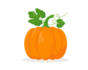 Bright pumpkin with leaves on white background.