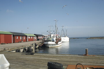ship in the port