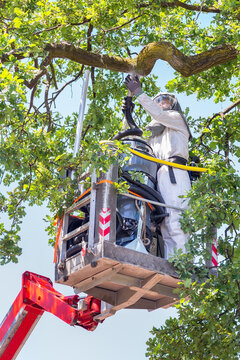 Dutch man fights  caterpillars nest in aerial platform