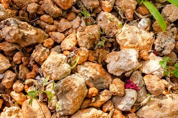 Stones Covering The Ground