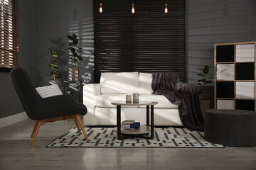 Modern living room interior with stylish comfortable sofa