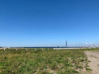 Fototapeta premium fence on the beach