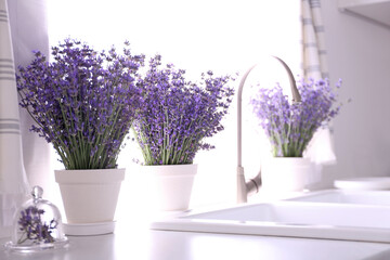 Beautiful lavender flowers on countertop near sink in kitchen. Space for text