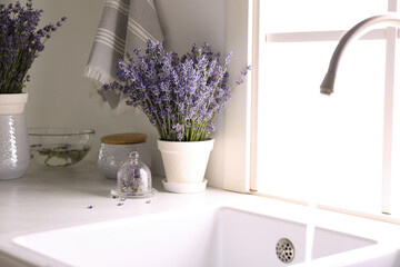 Beautiful lavender flowers on countertop near sink in kitchen