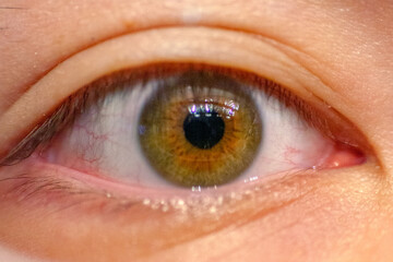Close up of hazel human eye