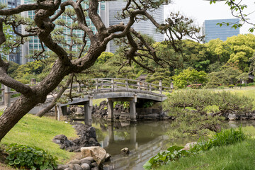 japanese garden bridge