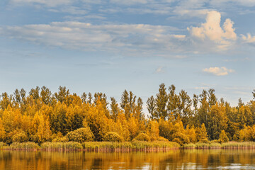 landscape of golden autumn at a forest lake