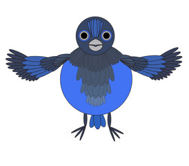 Animal bird of blue color flies in cartoon style. Drawing isolated on white background. Stock vector illustration.