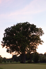 Sunset on the Course