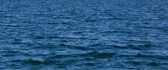 texture of blue sea water surface background