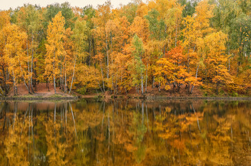 landscape of golden autumn at a forest lake