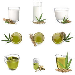 Set with different hemp products on white background