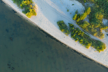 Shoreline with green reeds and sand. Aerial view.