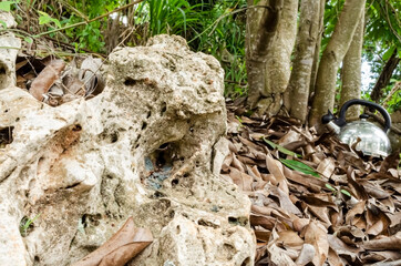 Kettle On Dried Leaves Close To Embedded Rock