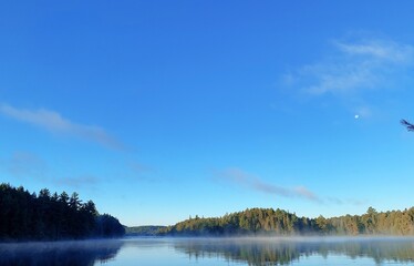 Obraz premium lake and forest