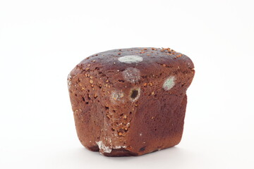 Mold on Black Bread. White background.