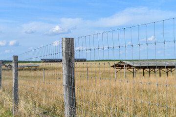 Fototapeta premium defensive fence surrounding outside cattle farm. Selective focus. 