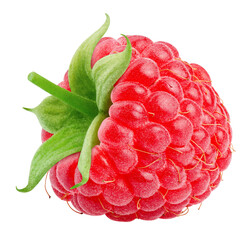 Raspberry isolated on white background, clipping path, full depth of field