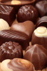 Delicious Chocolate Pralines
