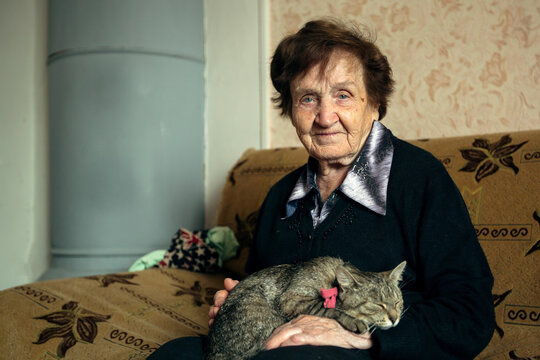 Portrait An Elderly Woman With Cat In Her Home.