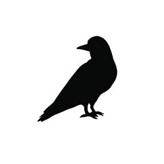 Vector hand drawn raven silhouette isolated on white background