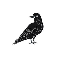 Vector hand drawn doodle sketch black raven isolated on white background