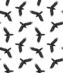 Vector seamless pattern of black hand drawn doodle sketch flying raven isolated on white background