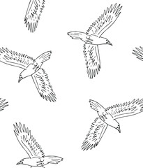 Vector seamless pattern of hand drawn doodle sketch flying raven isolated on white background