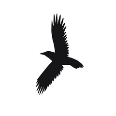 Vector hand drawn flying raven silhouette isolated on white background
