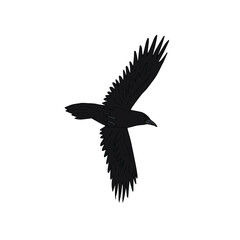 Naklejka premium Vector hand drawn doodle sketch colored flying raven isolated on white background