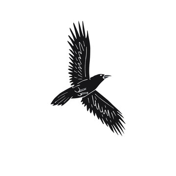 Vector black hand drawn doodle sketch flying raven isolated on white background