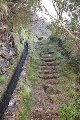 Madère, la levada historique de bica de cana