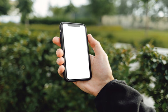 Mockup image of hand holding mobile phone with blank white screen. A man with a smartphone against the background of a city park with trees and green bushes.