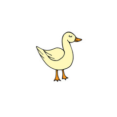 Vector hand drawn doodle sketch colored duck isolated on white background