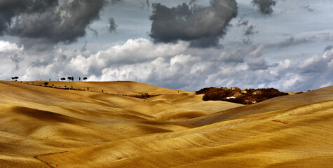 Paesaggio dorato dei campi della campagna toscana.