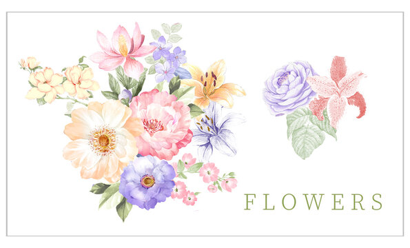 Flower watercolor illustration. 